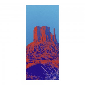 Owala Beach Towels Beach Towels Wild Wild West | UW3086715