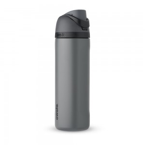 Owala FreeSip Material Stainless Steel Size 24 oz Water Bottle FreeSip® Grayt | WJ1672034